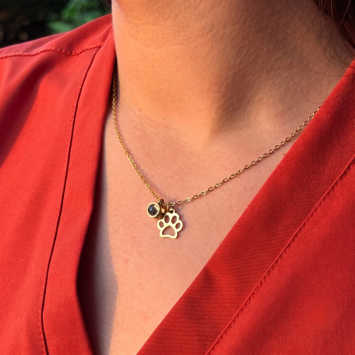 Collar de Proyección Forever Paw