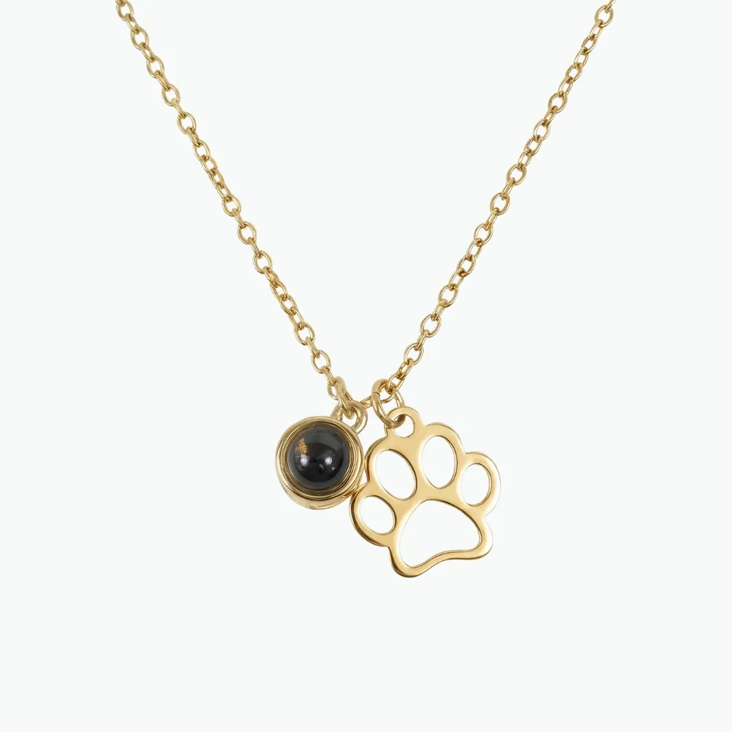 Collar de Proyección Forever Paw