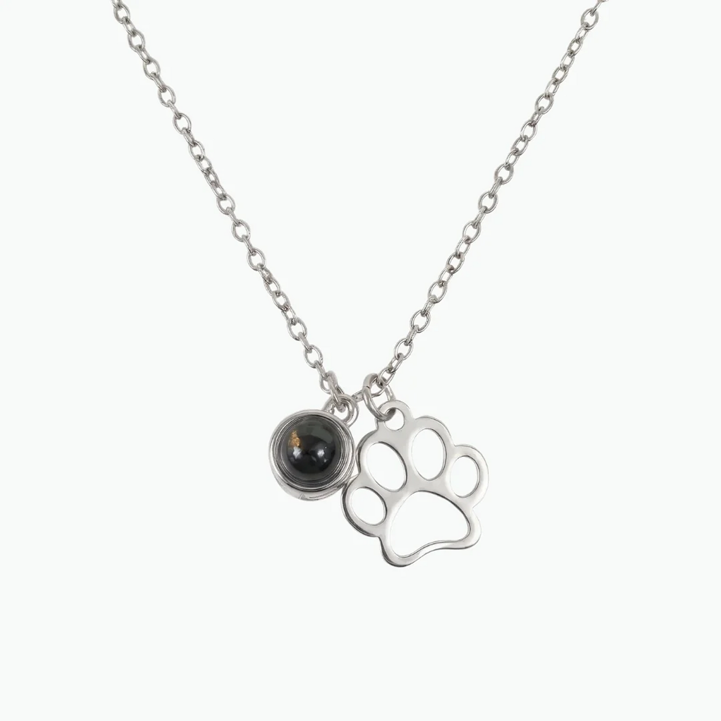 Collar de Proyección Forever Paw